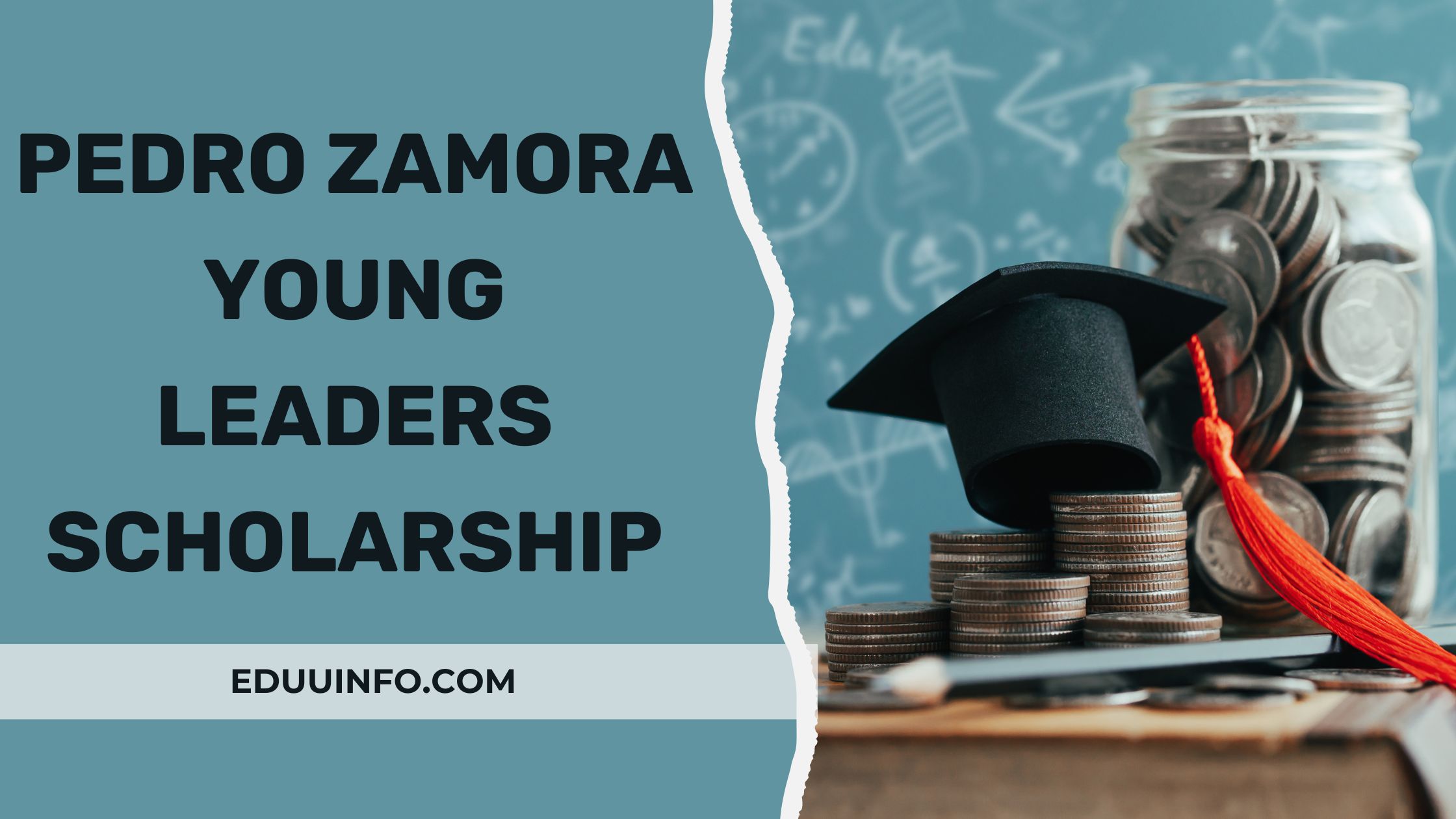 Pedro Zamora Young Leaders Scholarship