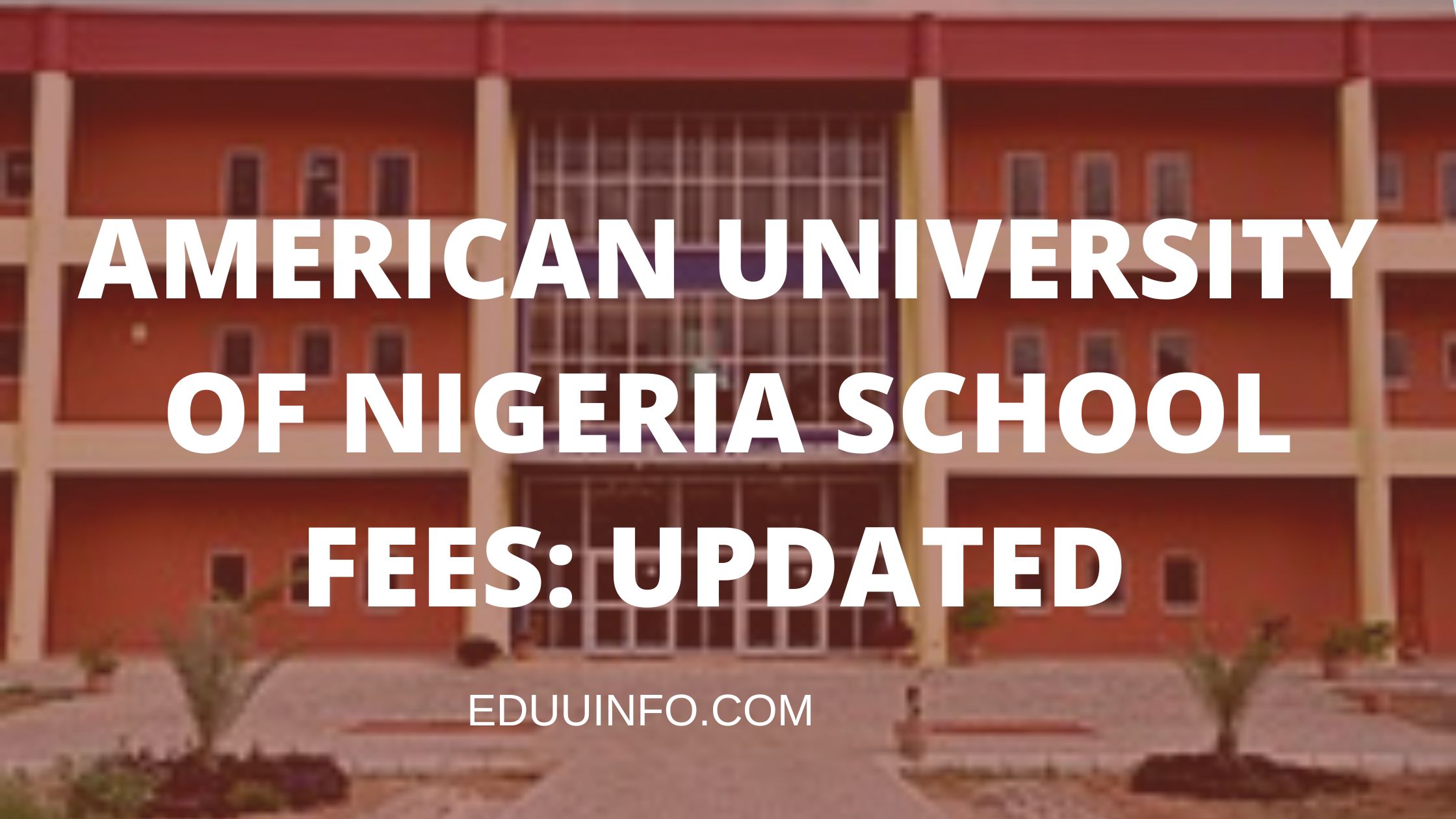 American University of Nigeria school fees