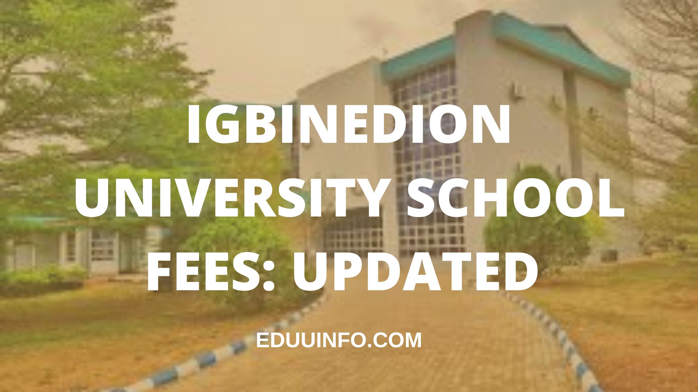 Igbinedion University school fees