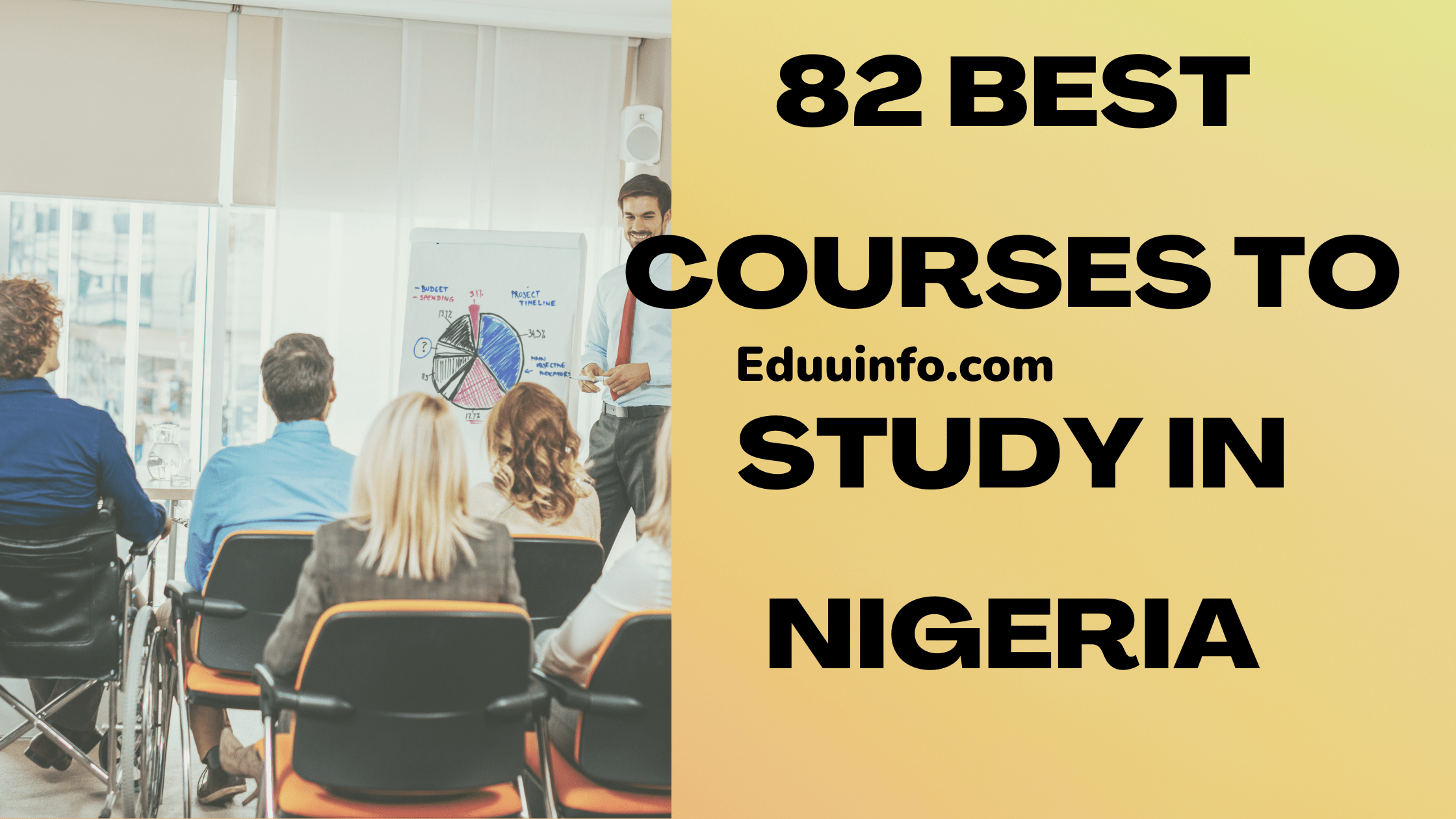 Best Courses to Study in Nigeria